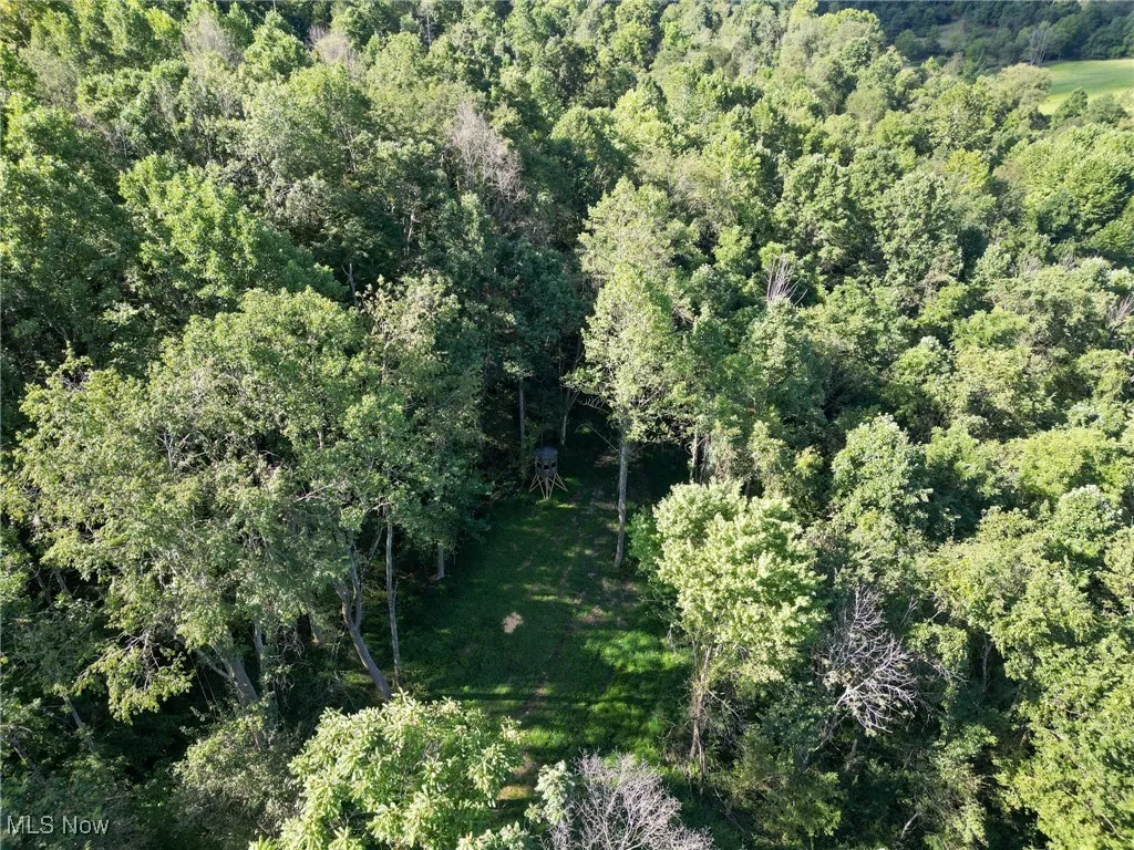 Greenlawn Road, Quaker City, Ohio 43773,MLS Now Listing ID