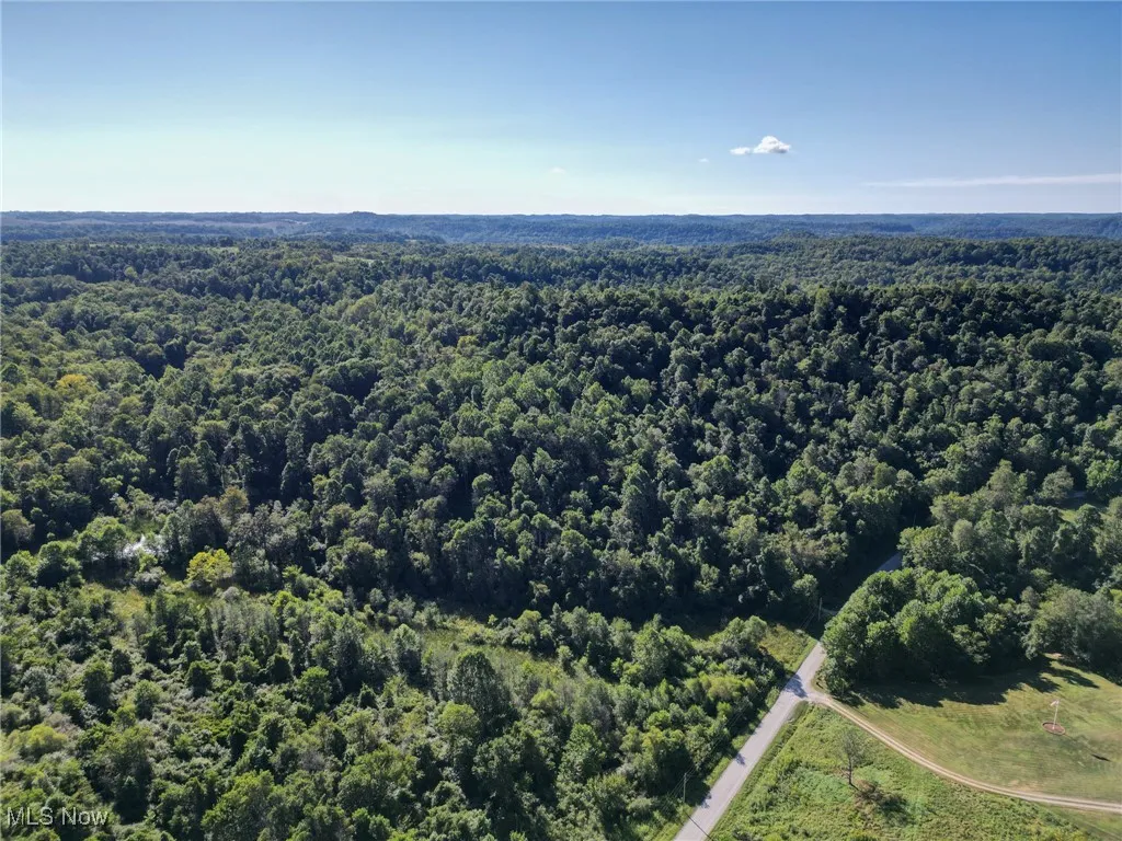 Greenlawn Road, Quaker City, Ohio 43773,MLS Now Listing ID