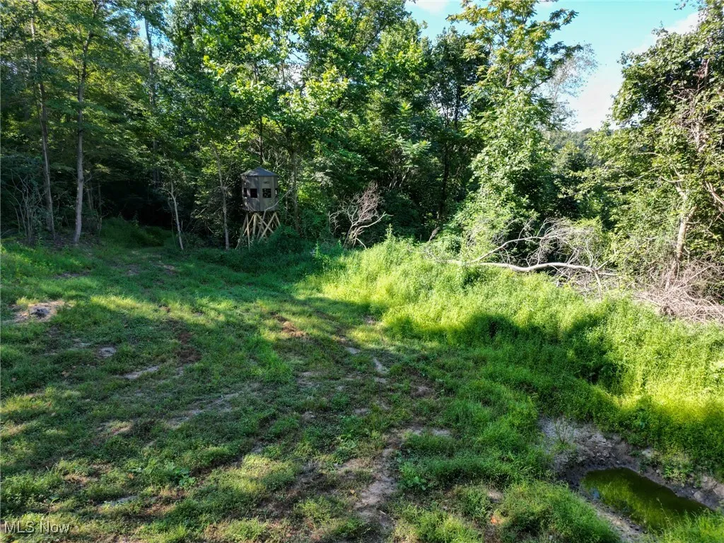 Greenlawn Road, Quaker City, Ohio 43773,MLS Now Listing ID