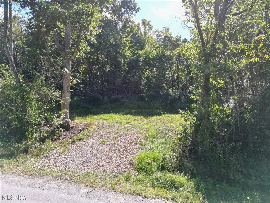 Greenlawn Road, Quaker City, Ohio 43773,MLS Now Listing ID