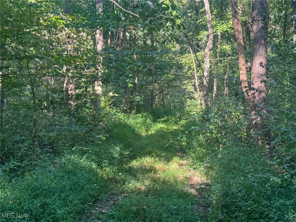 Greenlawn Road, Quaker City, Ohio 43773,MLS Now Listing ID