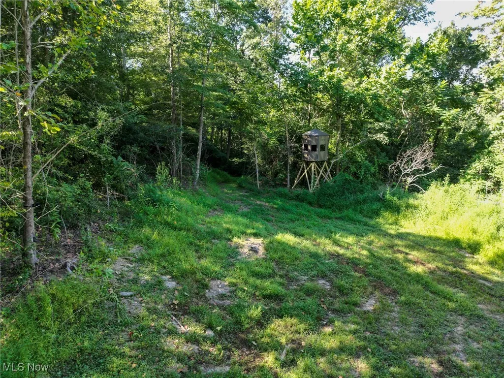Greenlawn Road, Quaker City, Ohio 43773,MLS Now Listing ID