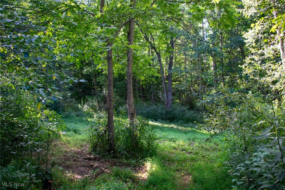 Greenlawn Road, Quaker City, Ohio 43773,MLS Now Listing ID