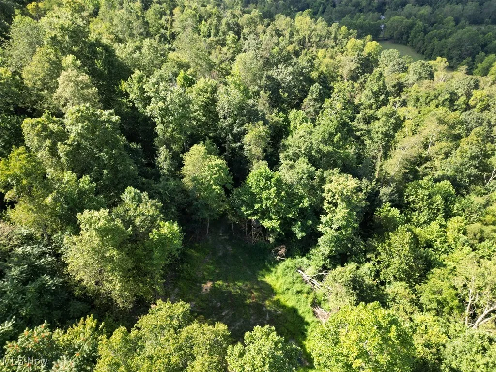 Greenlawn Road, Quaker City, Ohio 43773,MLS Now Listing ID