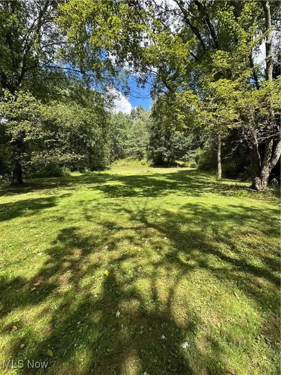 17265 State Route 45, Wellsville, Ohio 44432,MLS Now Listing ID