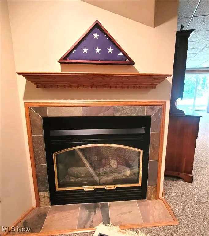 Detailed view of a fireplace and carpet floors