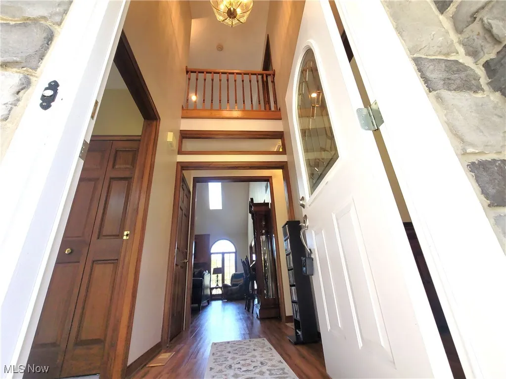 Entrance foyer featuring a high ceiling and dark wood-style floors