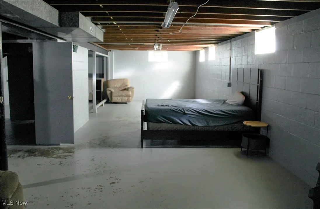 Basement featuring multiple windows