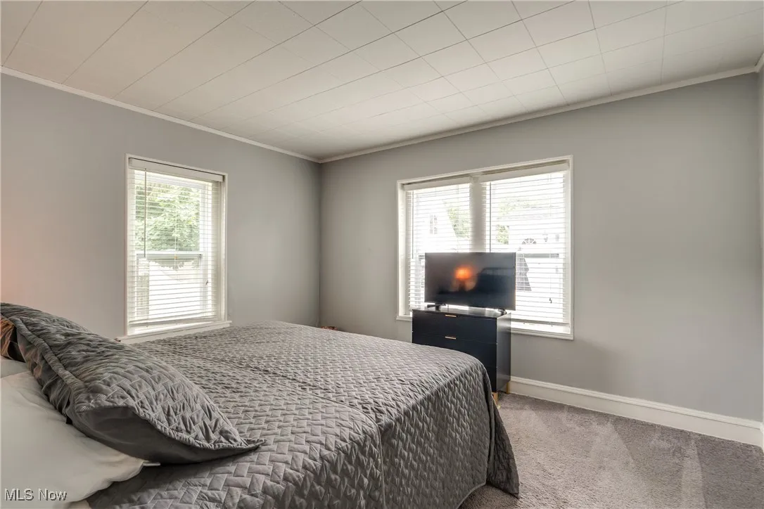 Carpeted bedroom with ornamental molding and multiple windows