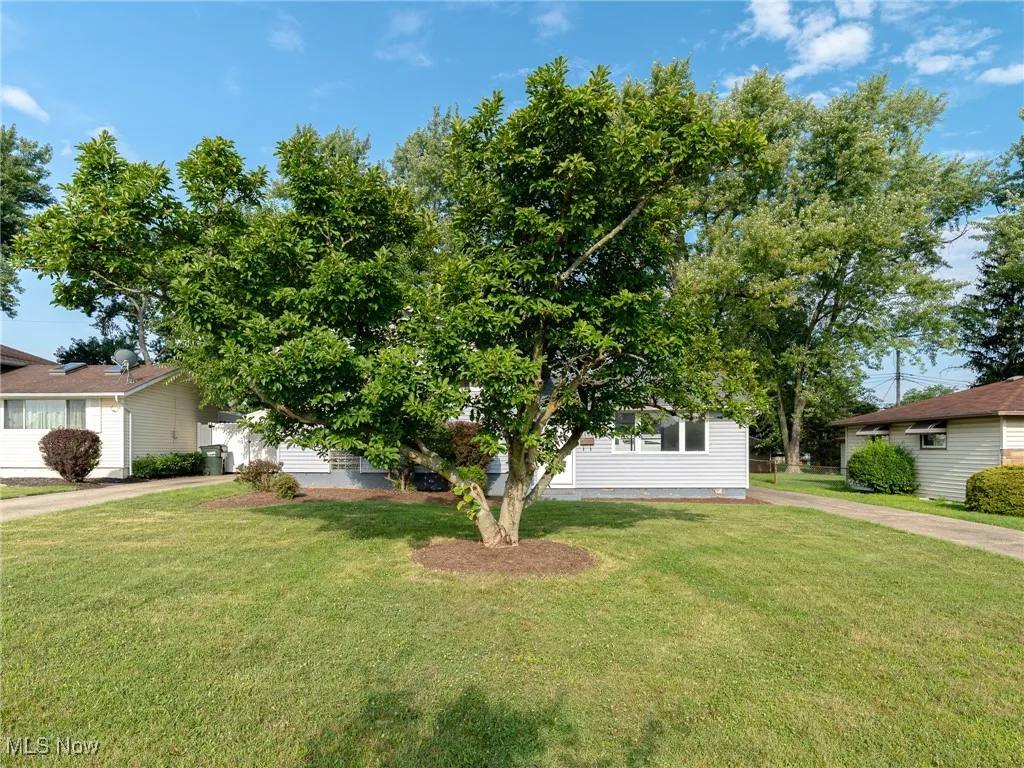 6694 Balsam Drive, Bedford Heights, Ohio 44146,MLS Now Listing ID