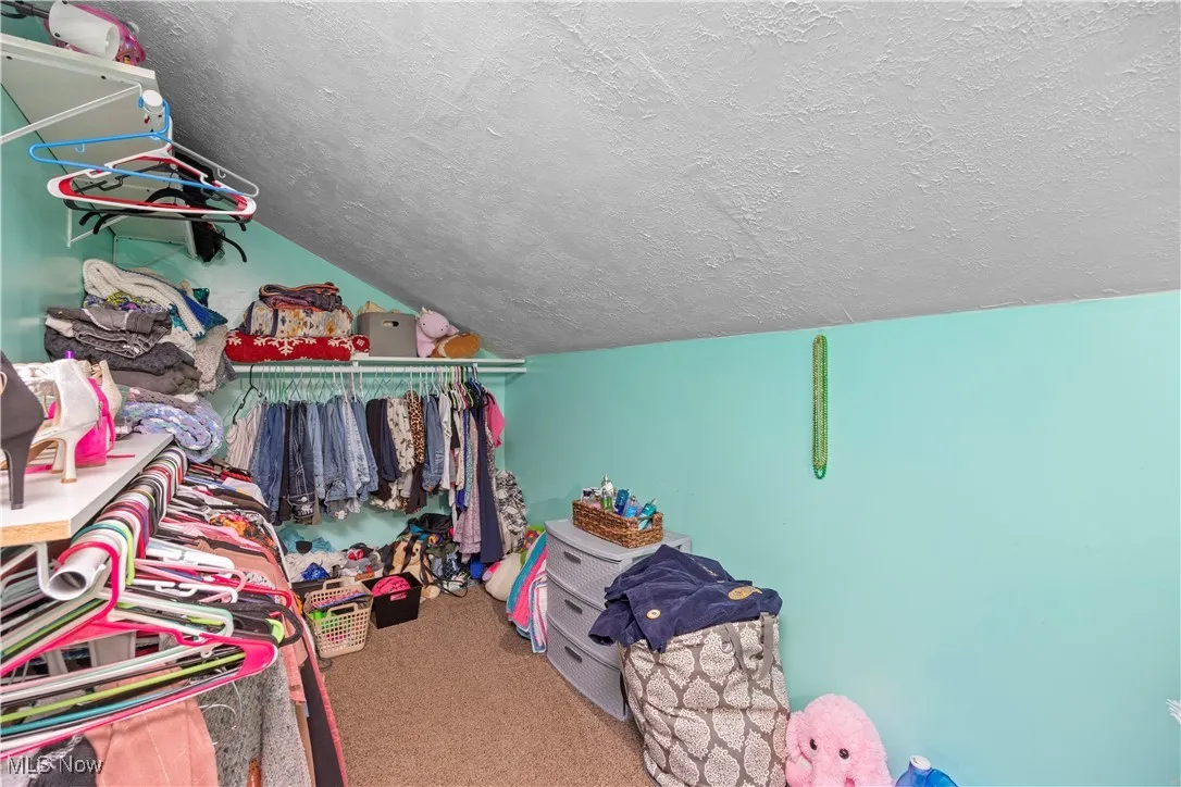 Spacious closet with carpet flooring and vaulted ceiling
