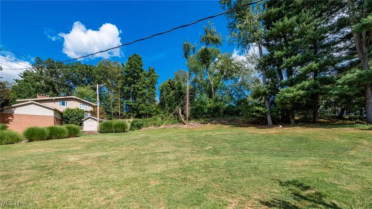 View of grassy yard with a shed and view of wooded area