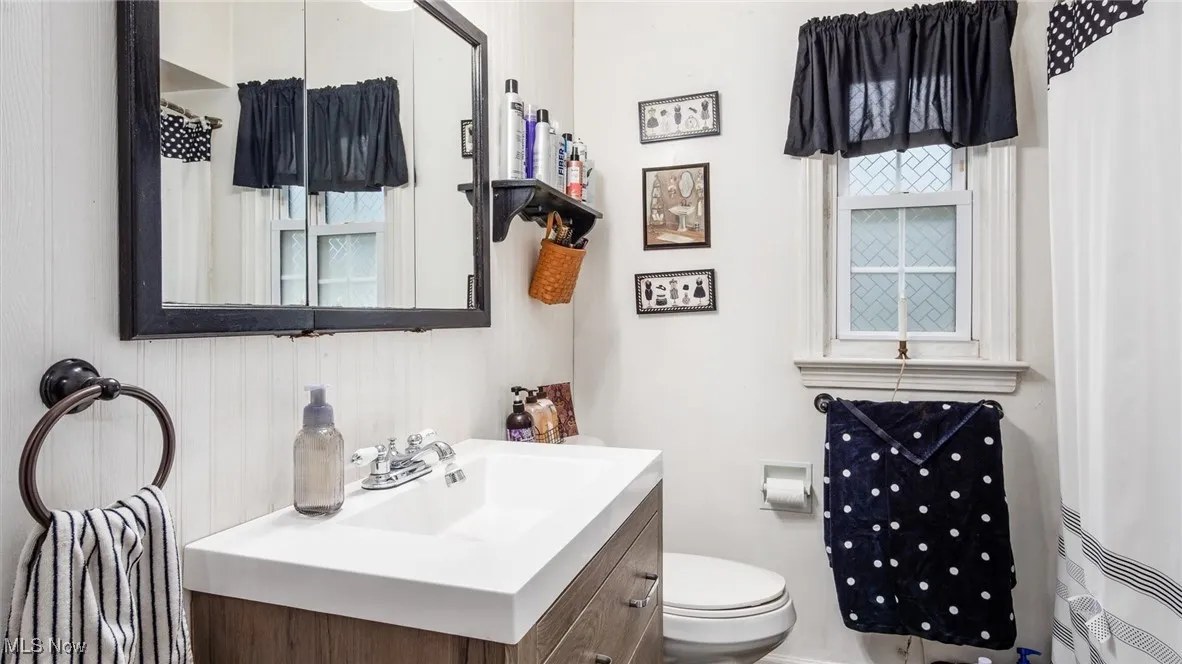 Full bathroom featuring vanity, plenty of natural light, and curtained shower