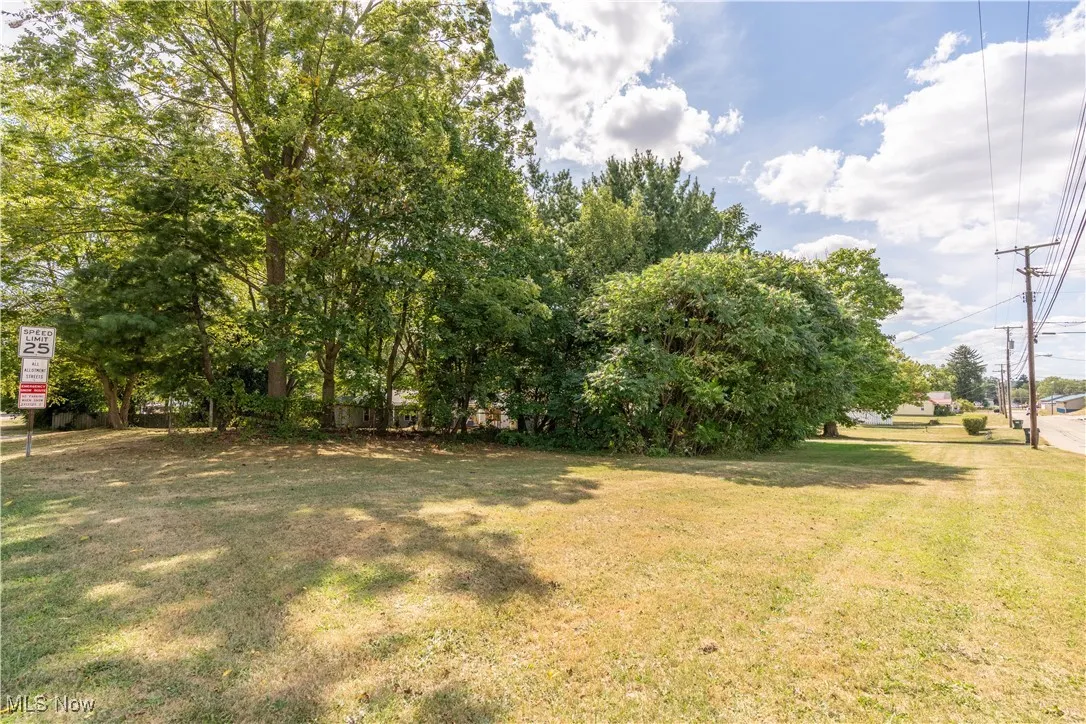View of grassy yard