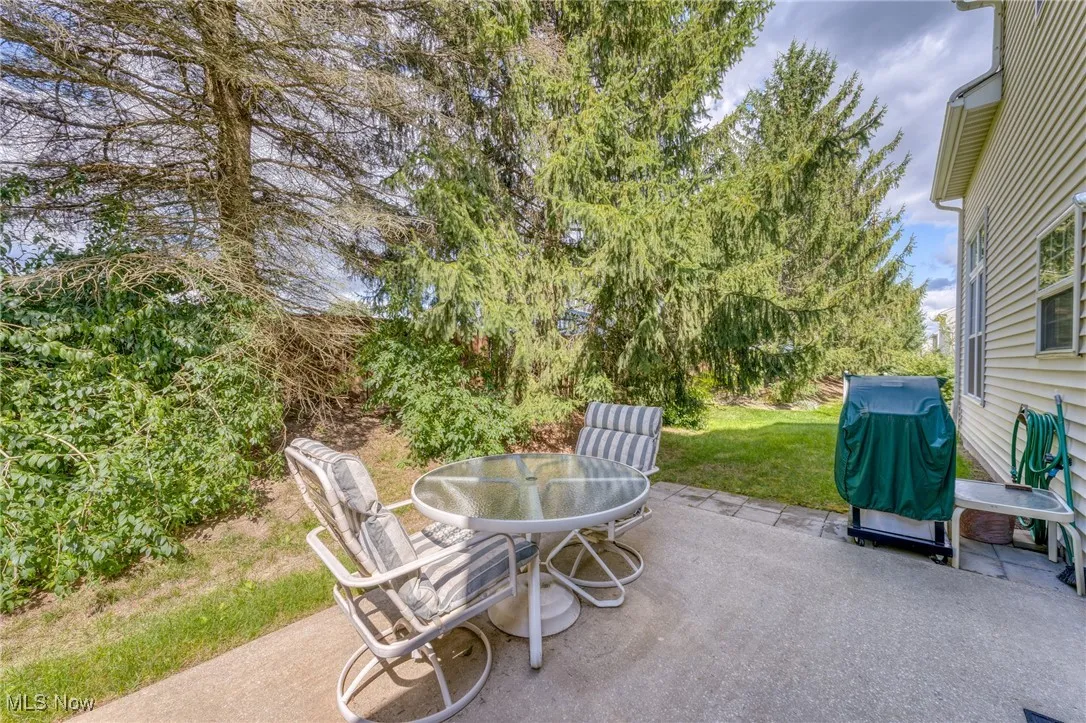 PRIVACY FENCE BEHIND