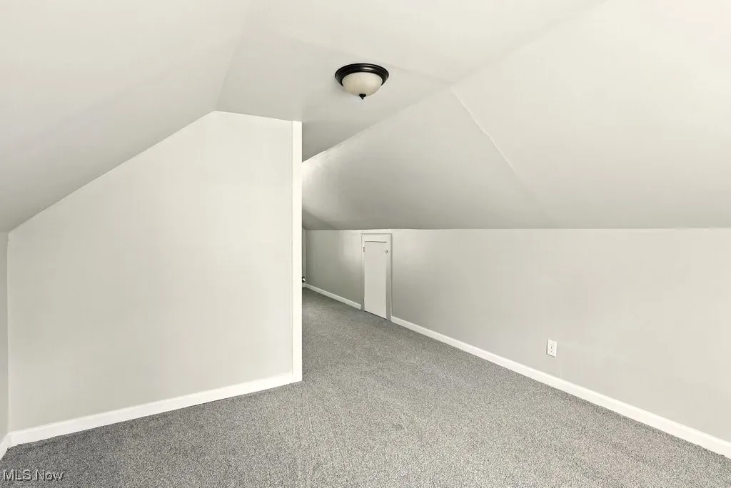 Additional living space with carpet and vaulted ceiling
