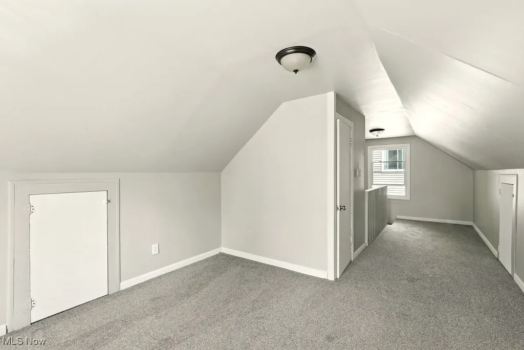 Bonus room with carpet and lofted ceiling
