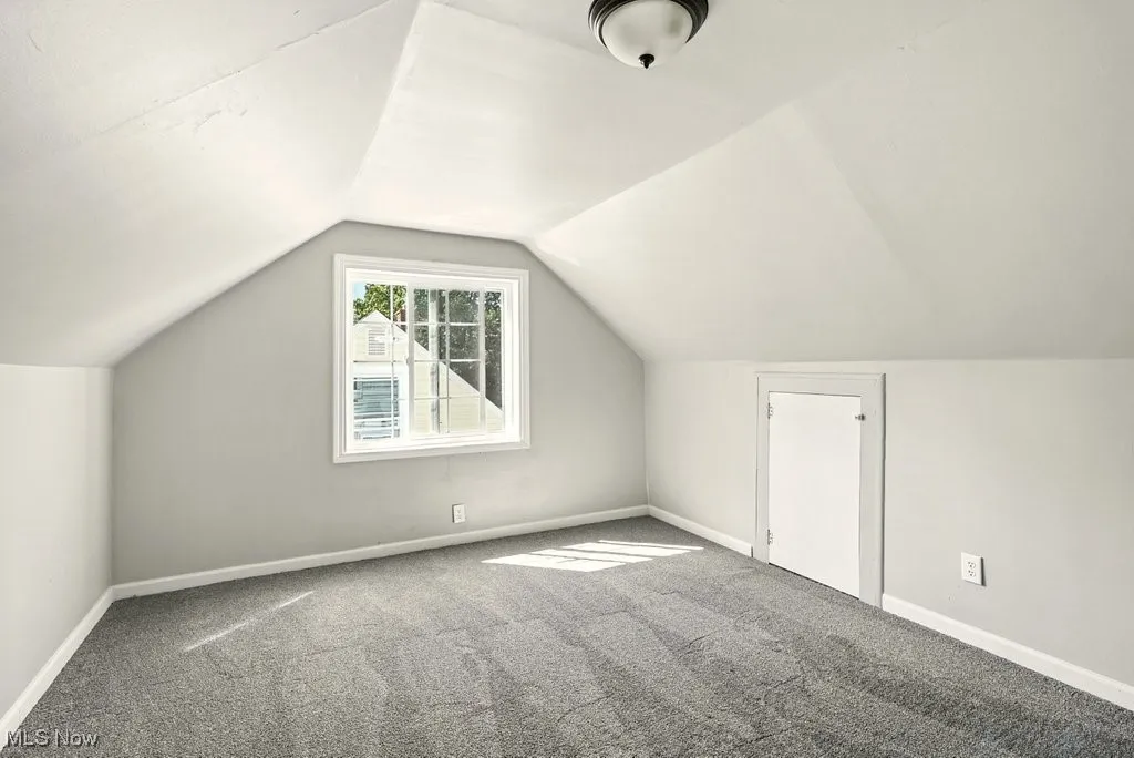 Bonus room with carpet and lofted ceiling
