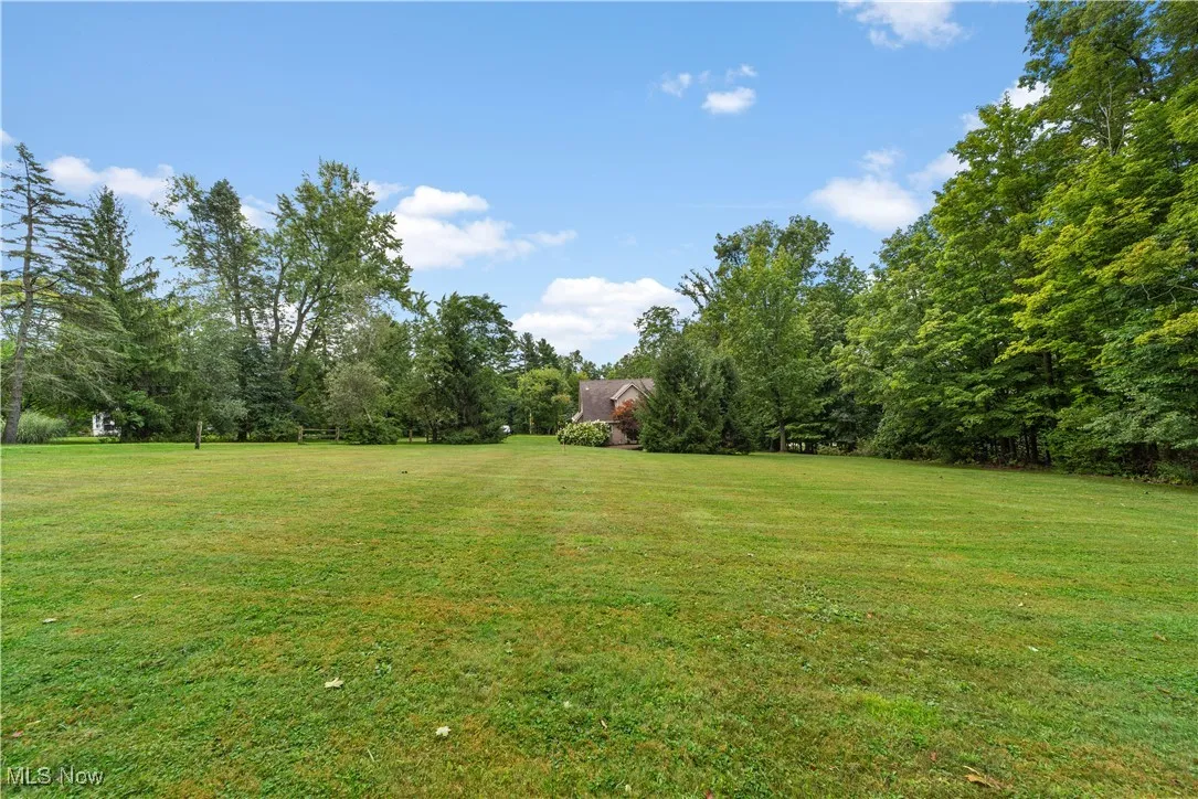 View of grassy yard