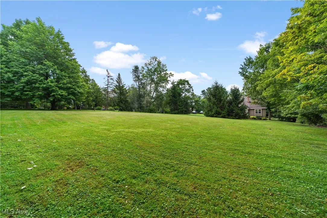 View of grassy yard