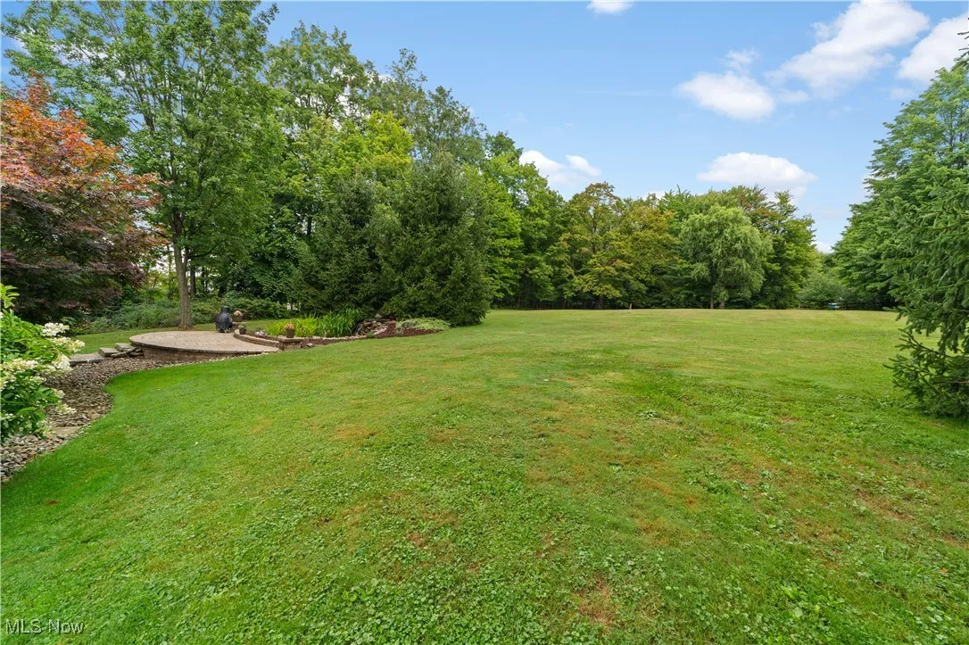 View of grassy yard