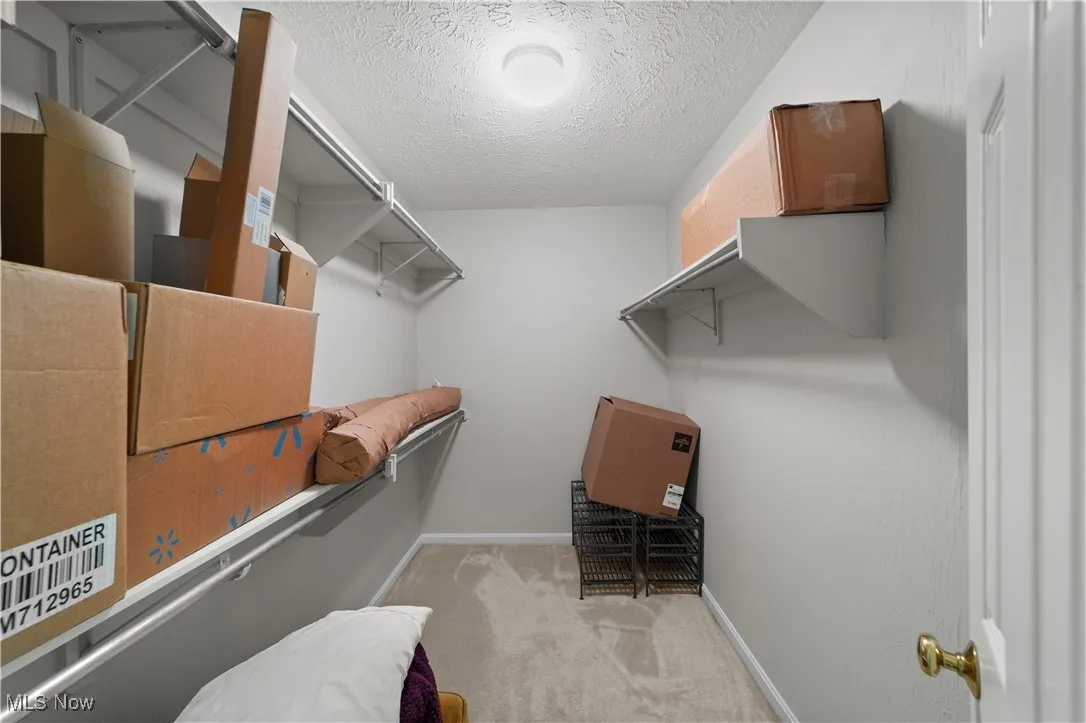 Spacious closet with light colored carpet