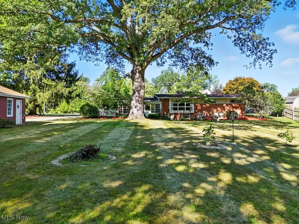 View of green lawn