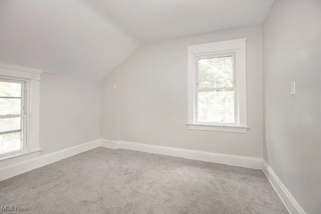 Additional living space with light colored carpet and lofted ceiling