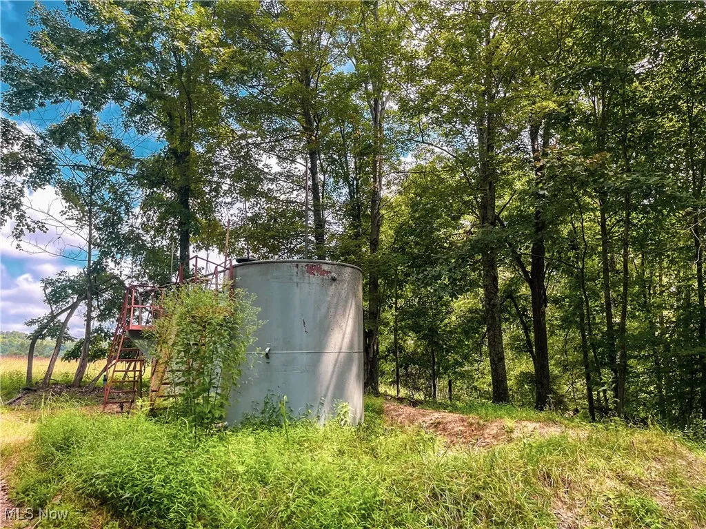 226 Banner Hill Rd., Spencer, West Virginia 25276,MLS Now Listing ID