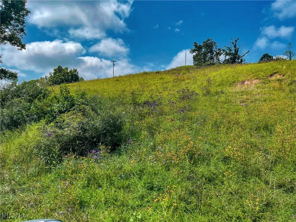 View of nature with rural landscape