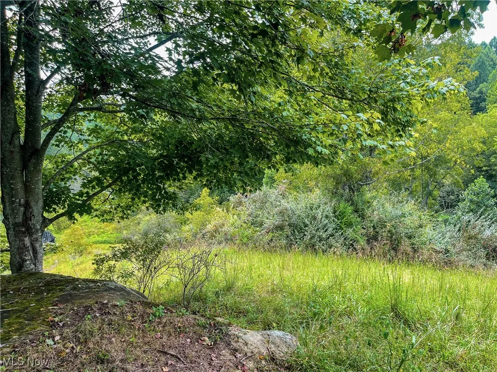 226 Banner Hill Rd., Spencer, West Virginia 25276,MLS Now Listing ID