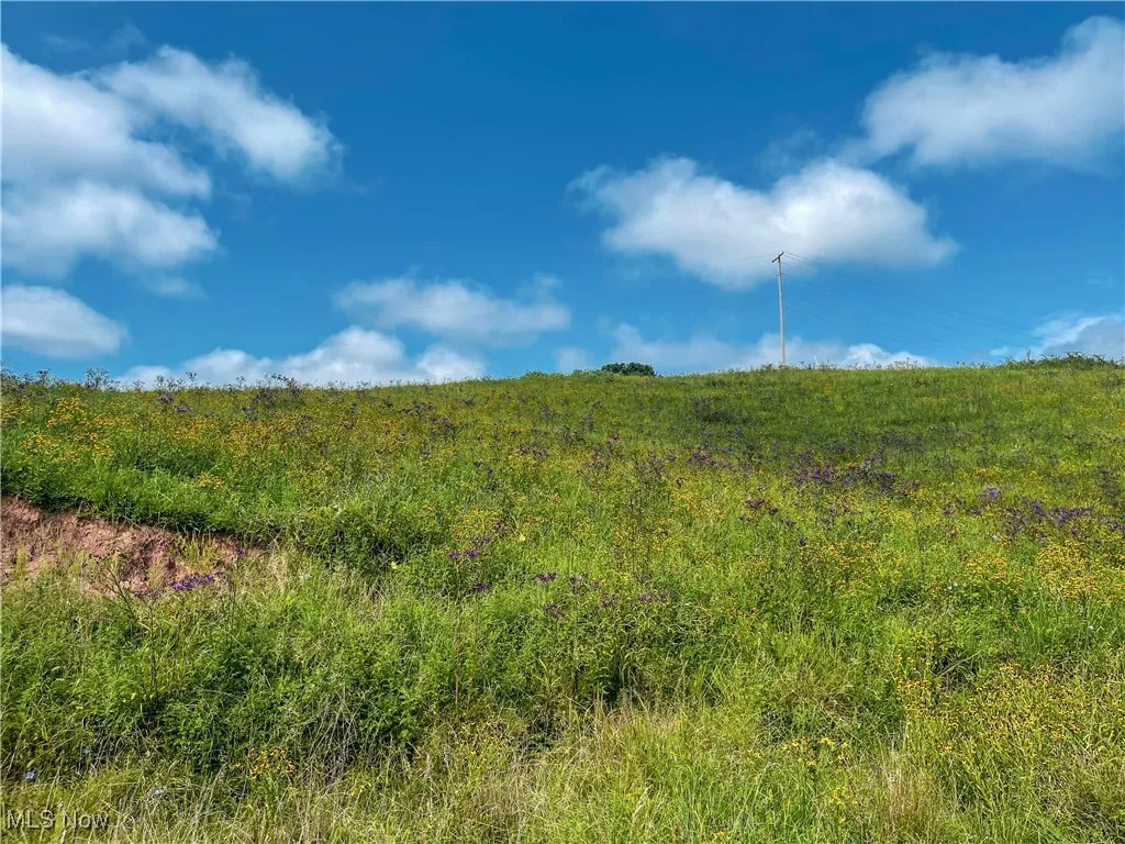 226 Banner Hill Rd., Spencer, West Virginia 25276,MLS Now Listing ID