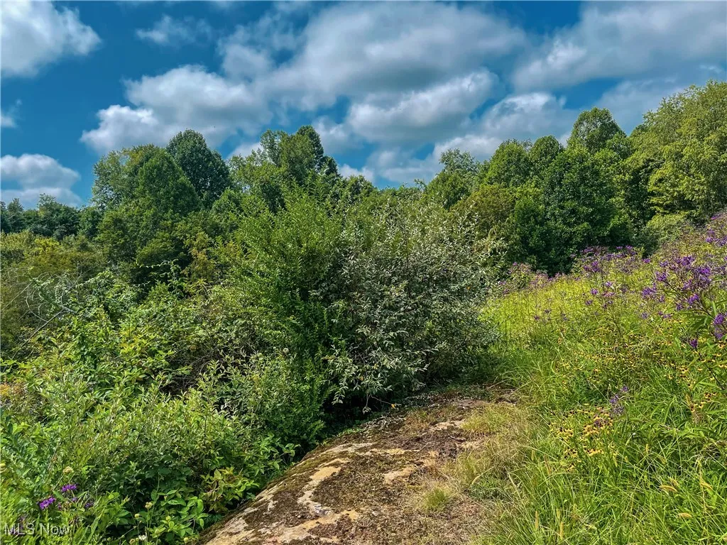 226 Banner Hill Rd., Spencer, West Virginia 25276,MLS Now Listing ID