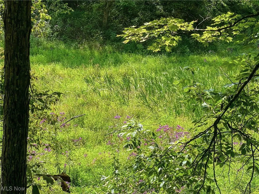 226 Banner Hill Rd., Spencer, West Virginia 25276,MLS Now Listing ID