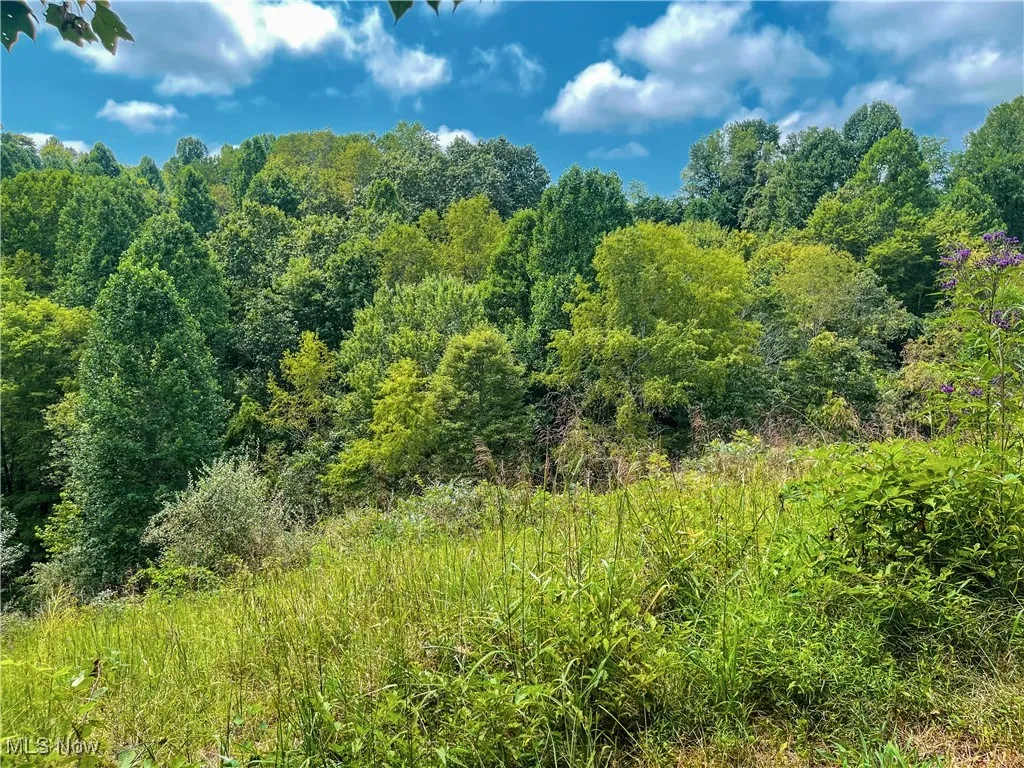 226 Banner Hill Rd., Spencer, West Virginia 25276,MLS Now Listing ID
