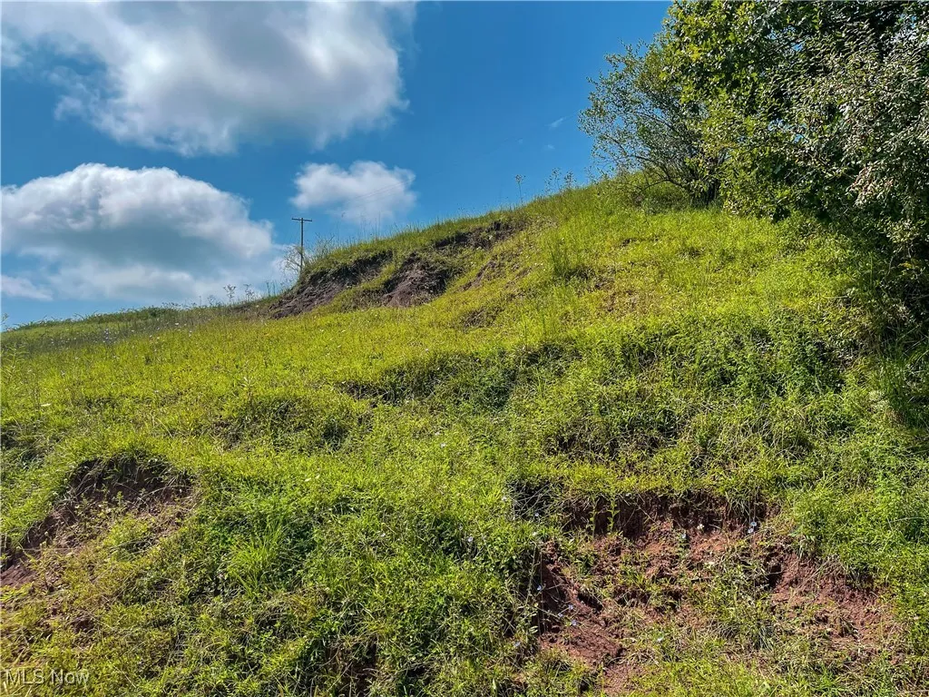 View of local wilderness