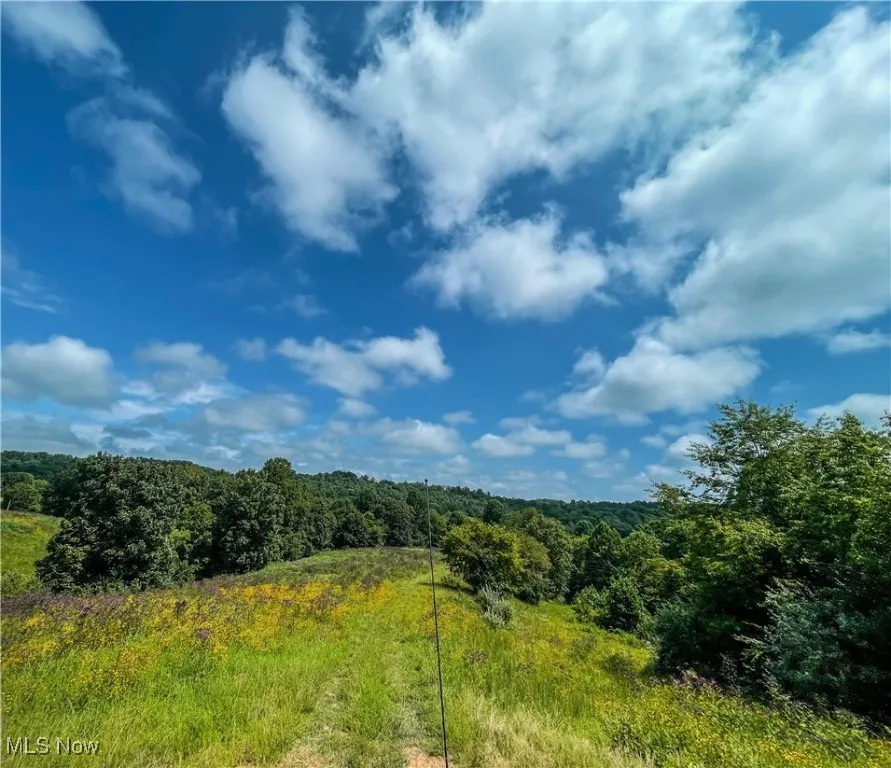 226 Banner Hill Rd., Spencer, West Virginia 25276,MLS Now Listing ID