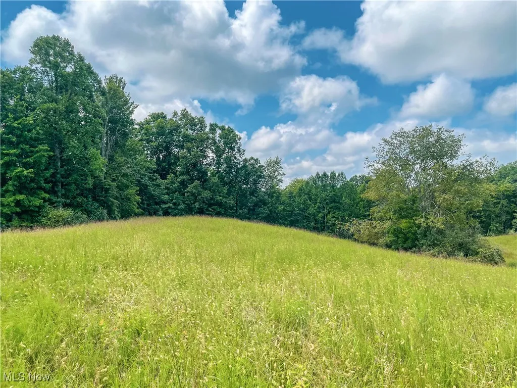 226 Banner Hill Rd., Spencer, West Virginia 25276,MLS Now Listing ID