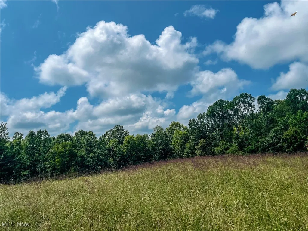 226 Banner Hill Rd., Spencer, West Virginia 25276,MLS Now Listing ID
