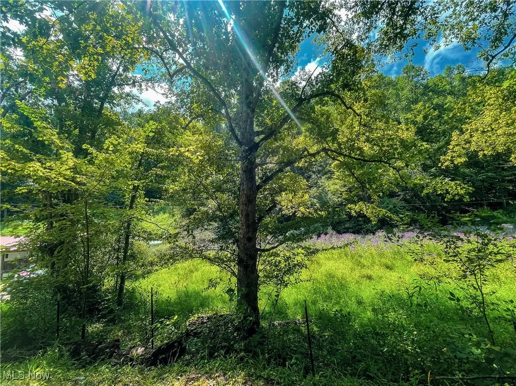 226 Banner Hill Rd., Spencer, West Virginia 25276,MLS Now Listing ID