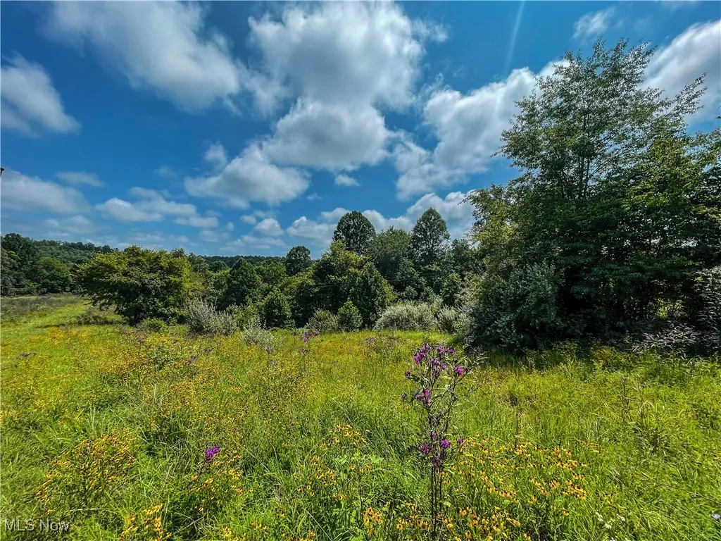 226 Banner Hill Rd., Spencer, West Virginia 25276,MLS Now Listing ID