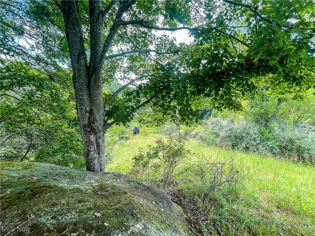 226 Banner Hill Rd., Spencer, West Virginia 25276,MLS Now Listing ID