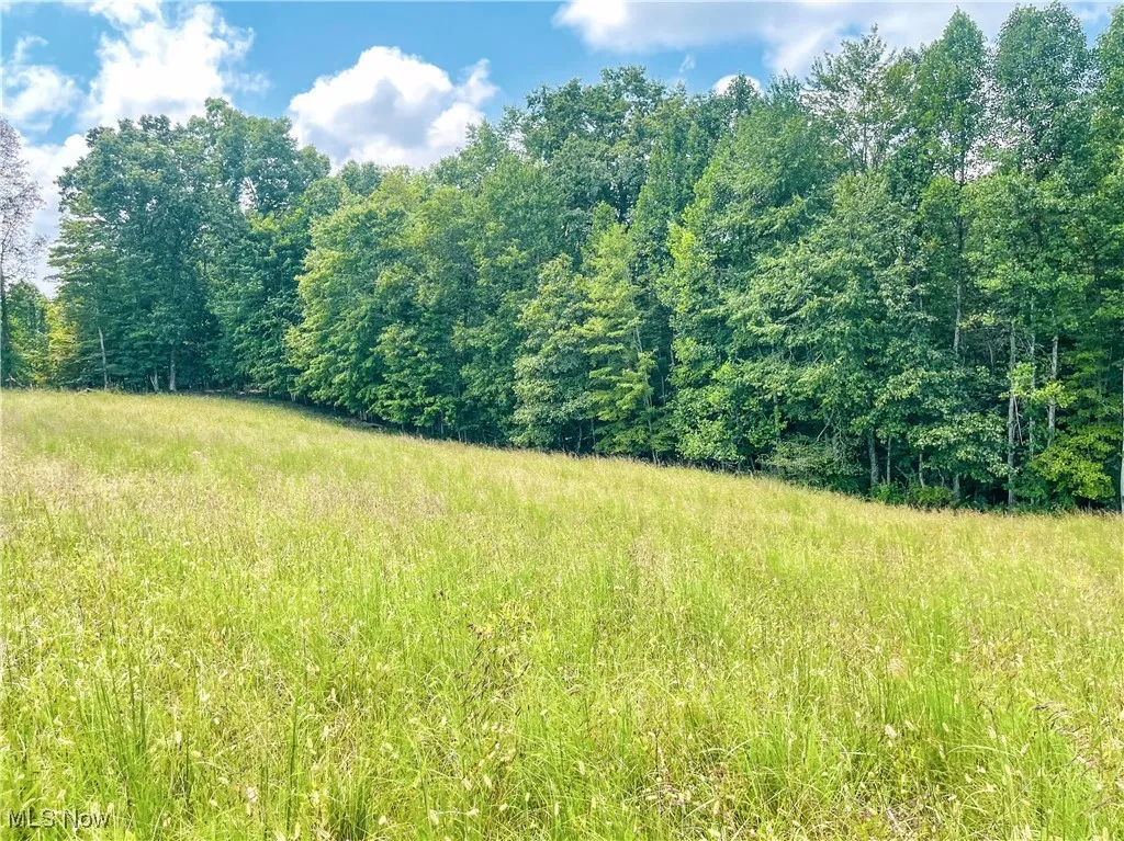 226 Banner Hill Rd., Spencer, West Virginia 25276,MLS Now Listing ID
