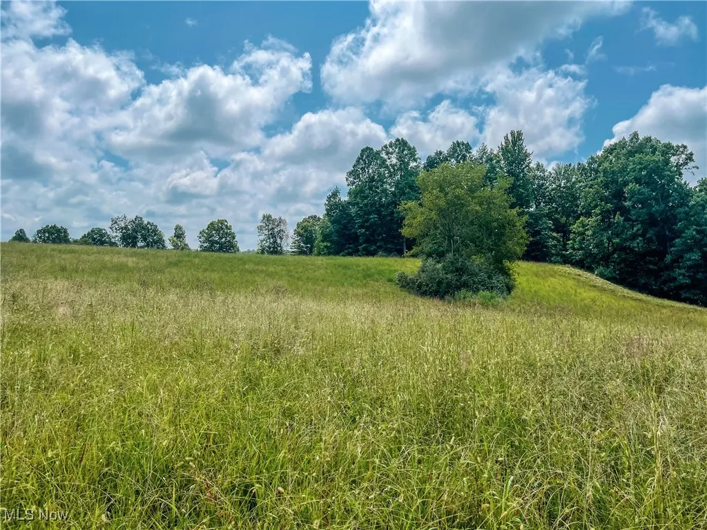 226 Banner Hill Rd., Spencer, West Virginia 25276,MLS Now Listing ID