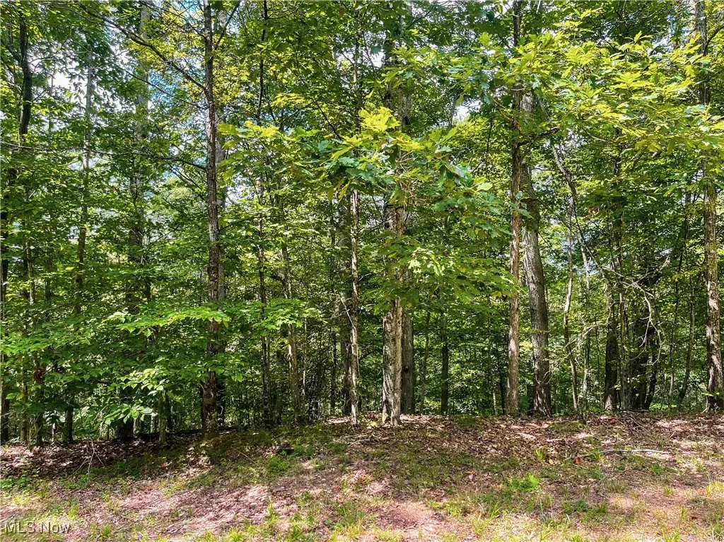 226 Banner Hill Rd., Spencer, West Virginia 25276,MLS Now Listing ID