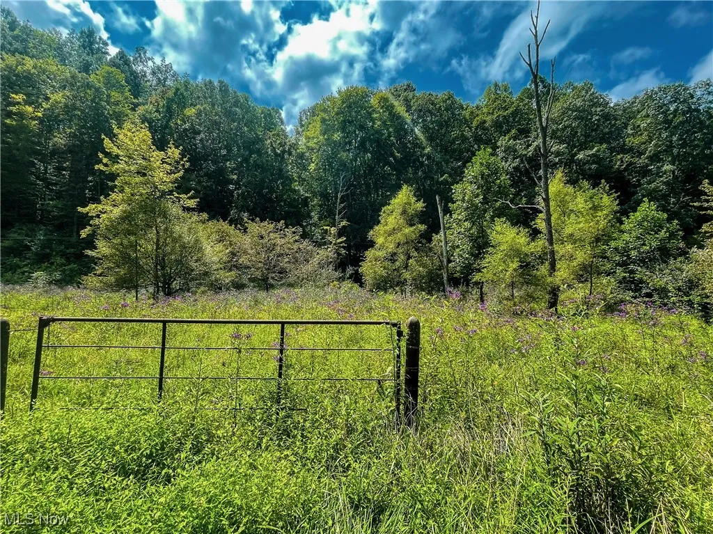 226 Banner Hill Rd., Spencer, West Virginia 25276,MLS Now Listing ID
