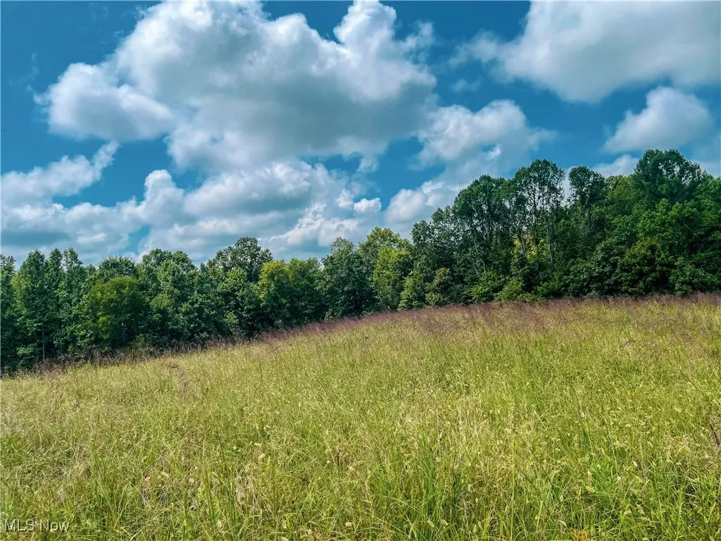 226 Banner Hill Rd., Spencer, West Virginia 25276,MLS Now Listing ID