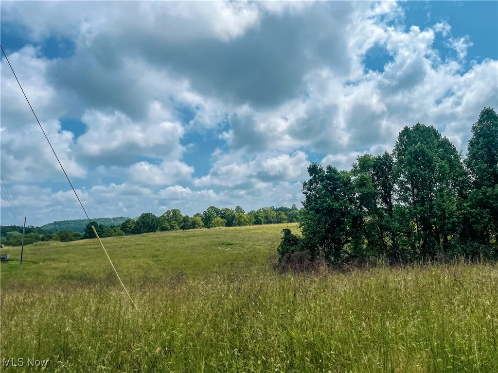 226 Banner Hill Rd., Spencer, West Virginia 25276,MLS Now Listing ID