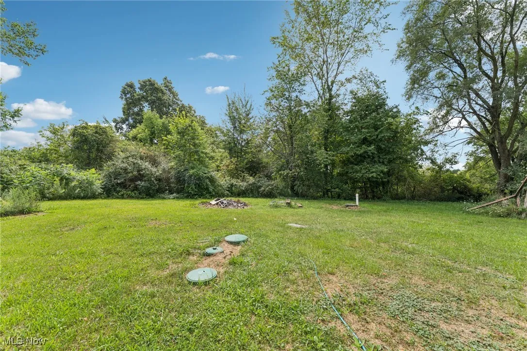 View of grassy yard