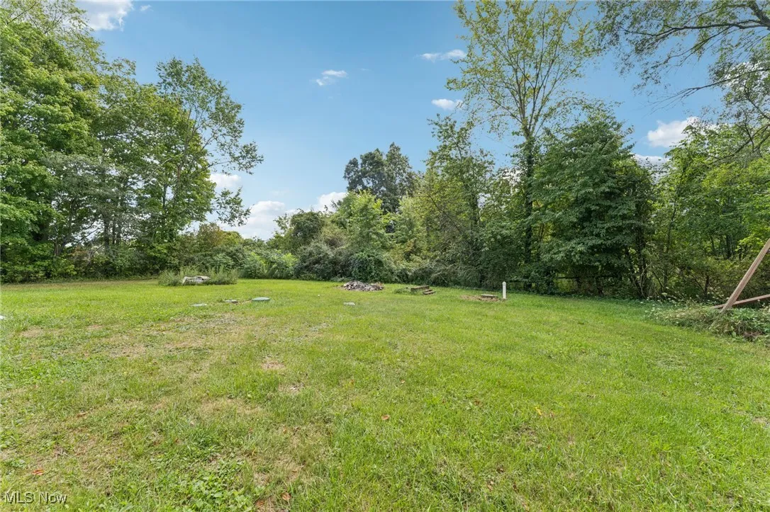 View of grassy yard